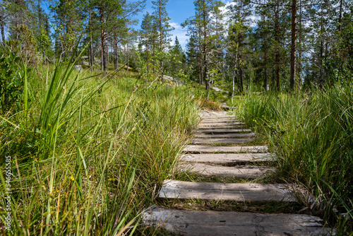 a path of old gray wooden planks with green grass growing along the edges