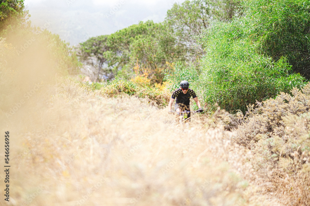 Pulled back view of mountain bike cyclist in forest Pulled back view of mountain bike cyclist in forest