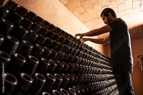 Man straightens bottles in cellar photo