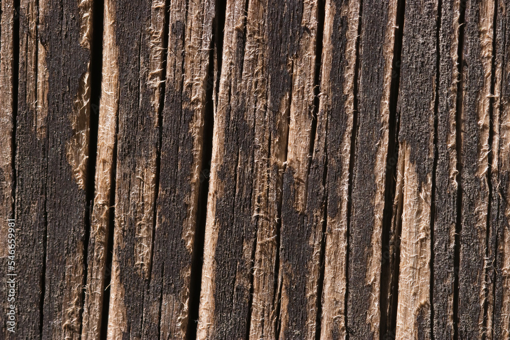 old wood texture old wood texture