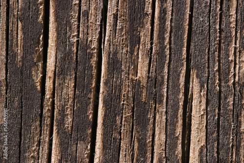 old wood texture