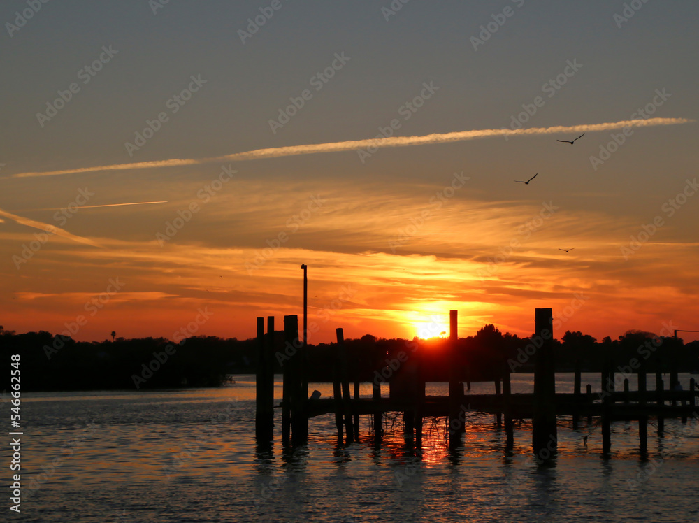 Seagulls flying into the sunset,  Tarpon Springs, Florida