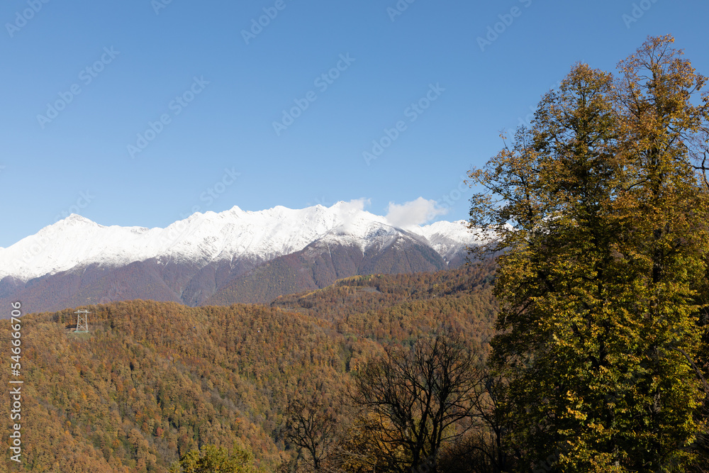 Autumn landscape in the mountains. Autumn forest and snow-covered mountain. Autumn multicolor foliage on trees. Travel in the mountains. Mountain hiking.