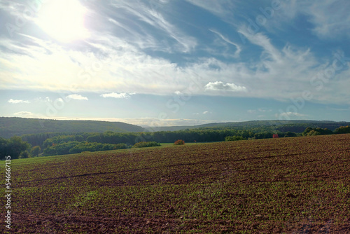 Blick auf den Soonwald aus der Nahe-Region in Rheinland-Pfalz vom Premium-Wanderweg Vitaltour Schlossweg bei Winterburg im Landkreis Bad Kreuznach. 