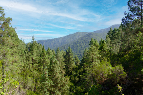 Die Landschaft bei La Caldera auf der Kanareninsel Teneriffa in der Gemeinde La Orotava. Nebel und Dunst zieht auf. 