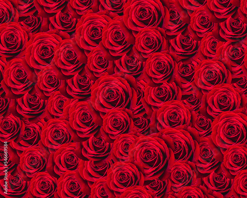 Screen filled with red roses or rosebuds perfect for valentine or other romance related designs