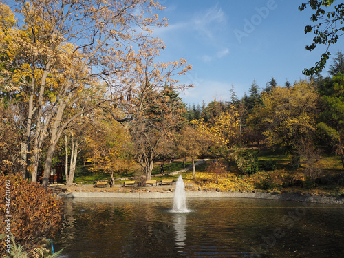 Autumn landscape in the Botanic Park in Ankara, Türkiye. photo