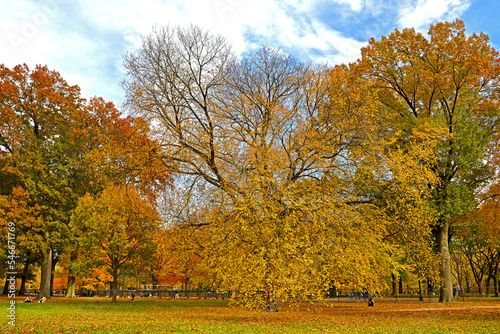 Picturesque golden autumn in New York City Central Park. Beautiful landscape