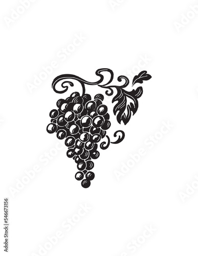 illustration of grapes