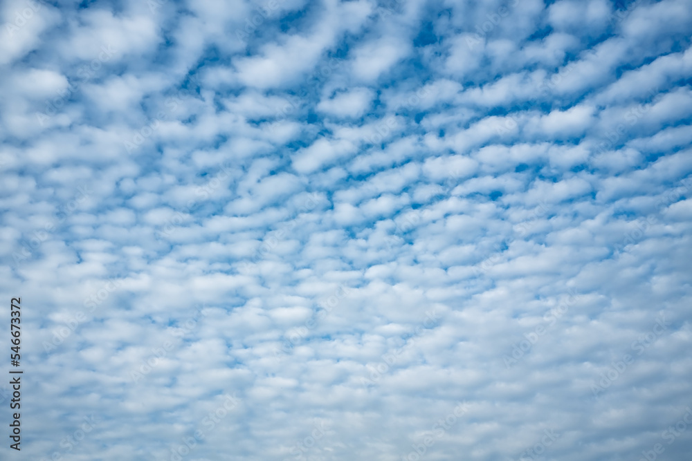 Cirrocumulus clouds in the blue sky. Textured natural background. Place for text. 