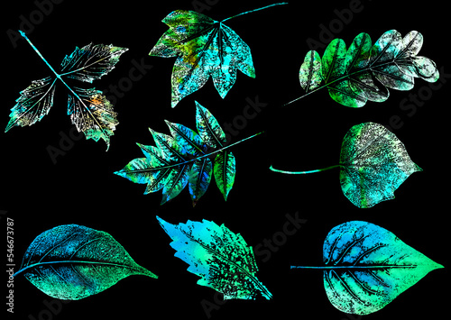 colored texture of foliage imprint on paper, leaf texture on a white background photo