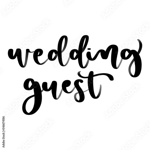 Isolated word wedding guest written in hand lettering