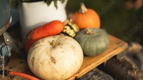Variety of pumpkins on a wooden table