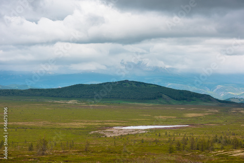 Scenic landscape with sunlit moss plateau with coniferous small trees and green forest hill in center against large mountain range in rainy low clouds. Beautiful mountain scenery at changeable weather