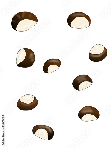 set of chestnut