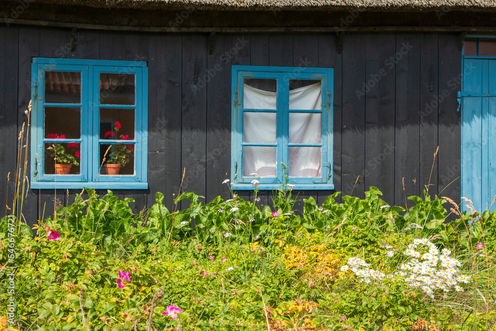 Blaues Fenster