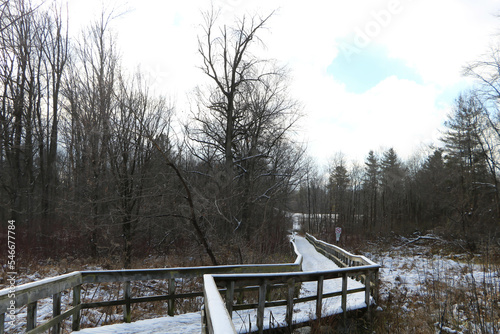 Snowy boardwalk in Rattray Marsh, Mississauga, Ontario
 photo