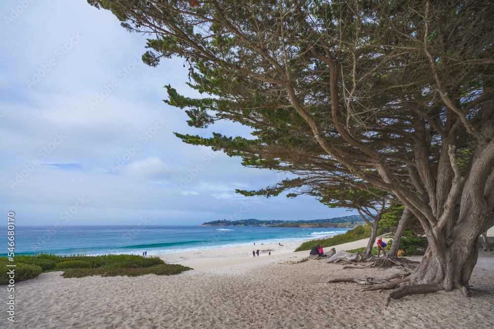 Carmel beach,  a long, wide, white sand beach. Carmel Beach is one of the most iconic spots on California's Central Coast