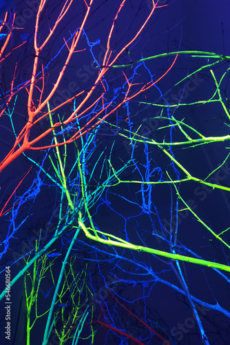 Bare tree branches in neon light. Abstract background