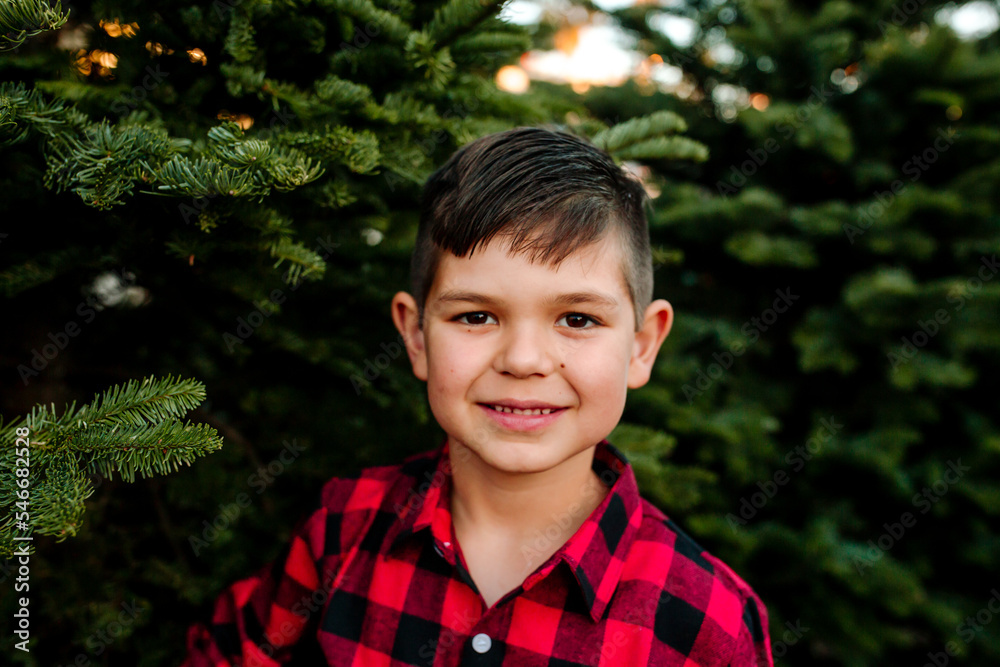 Smiling boy surrounded by pine trees Smiling boy surrounded by pine trees