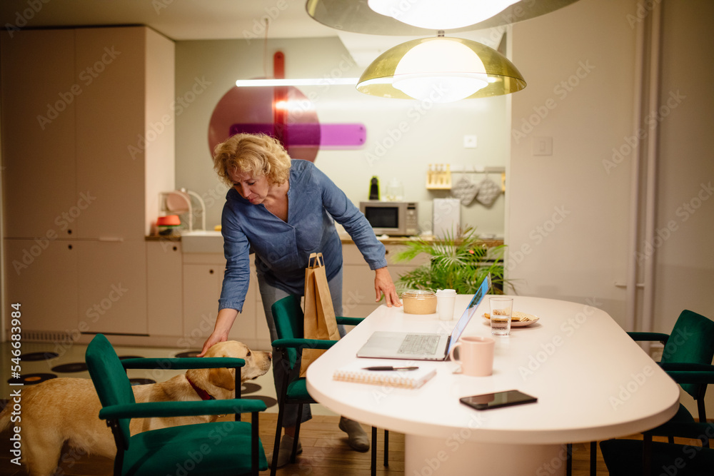 A Woman having a dinner A Woman having a dinner