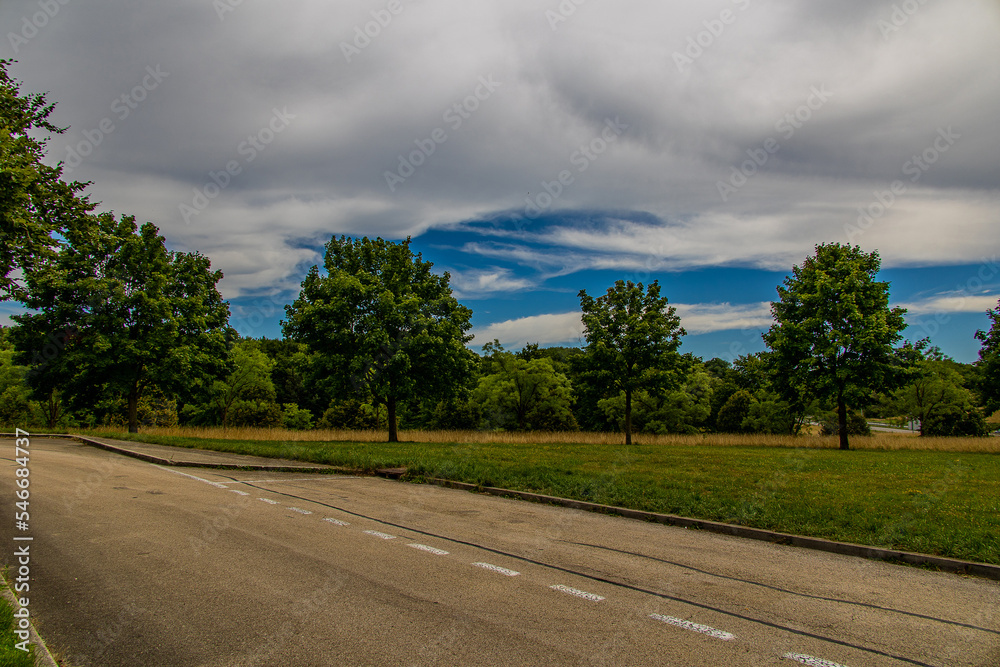 summer landscape with green trees, meadow, fields and sky with white clouds and concrete road summer landscape with green trees, meadow, fields and sky with white clouds and concrete road