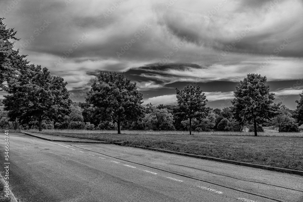 summer landscape with green trees, meadow, fields and sky with white clouds and concrete road summer landscape with green trees, meadow, fields and sky with white clouds and concrete road