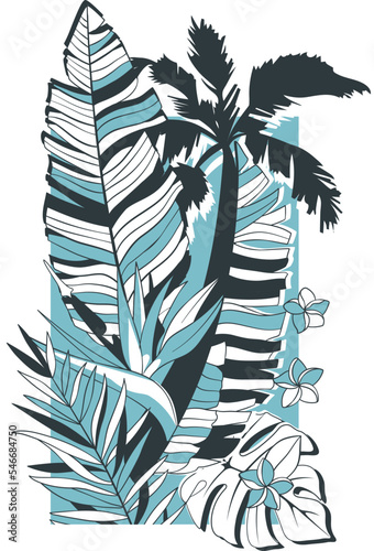 Exotic tropical plants illustration. Banana Leaf, Monstera, Palm tree, Fern, Petra Croton, Bird of Paradise Flower and Plumeria. Editable stroke. Vector EPS + JPEG + Transparent PNG