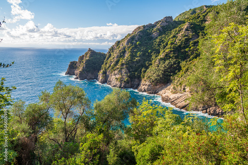 Fototapeta Naklejka Na Ścianę i Meble -  Promontory in Portofino National Park