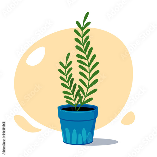 House plants in pot. Trendy plants in flat style.