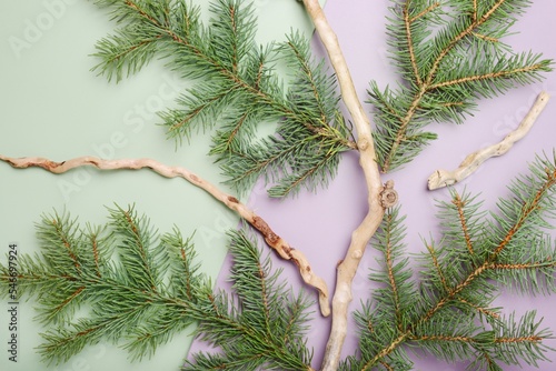 Christmas  pine branches on olive and lilac  background
