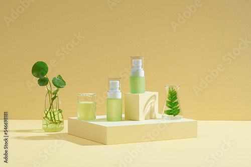 Alternative green herb medicine, Natural skin care beauty photo