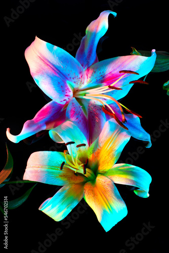 Bright blooming flower with neon multicolor leaves