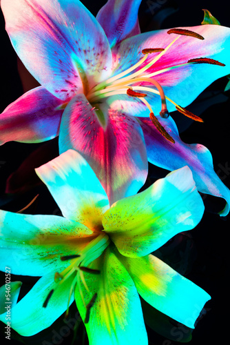 Bright blooming neon flower with delicate petals