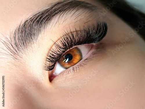 Canvas Print Close up of eyelash Extensions in beauty salon macro eye