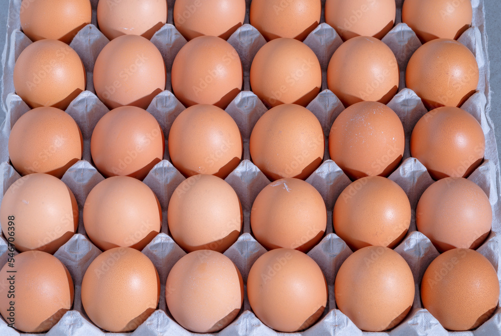 Eggs as an ingredient in a variety of foods Eggs as an ingredient in a variety of foods