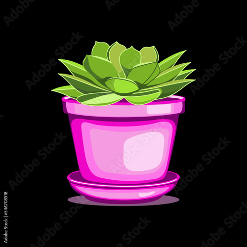 Echeveria succulent in ceramic pot in flat technique vector illustration	

