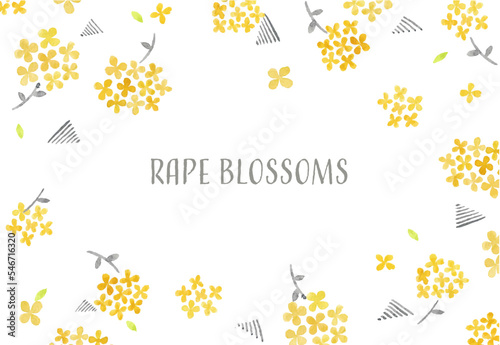 rape blossoms frame