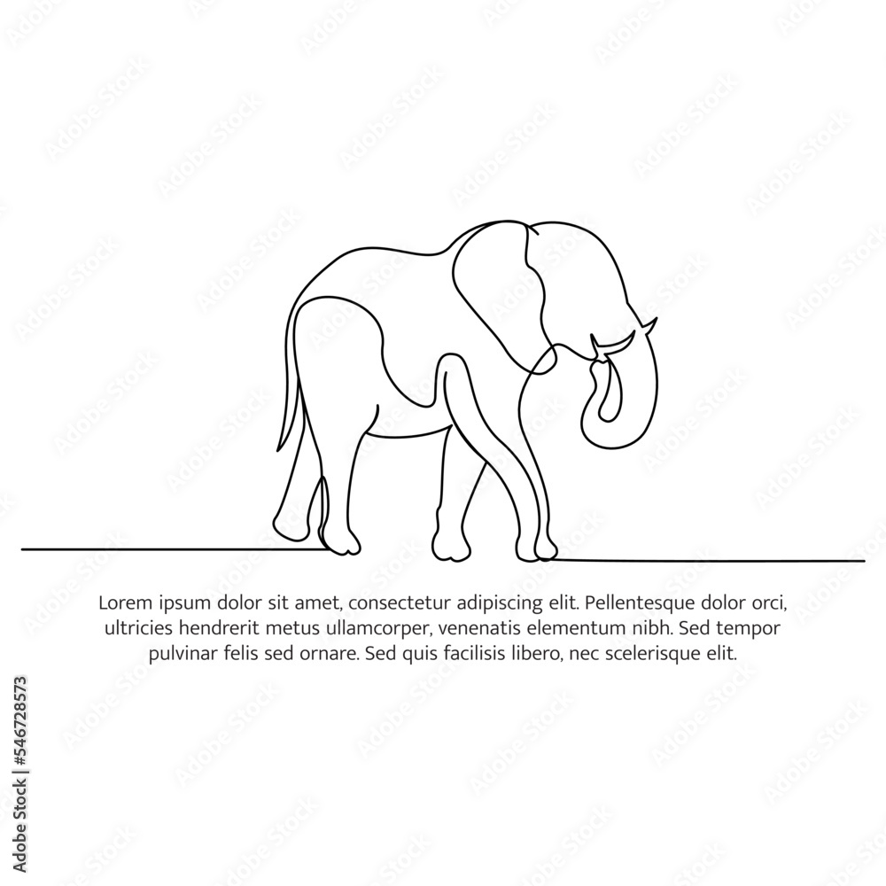 Elephant line design. Wildlife decorative elements drawn with one continuous line. Vector illustration of minimalist style on white background.