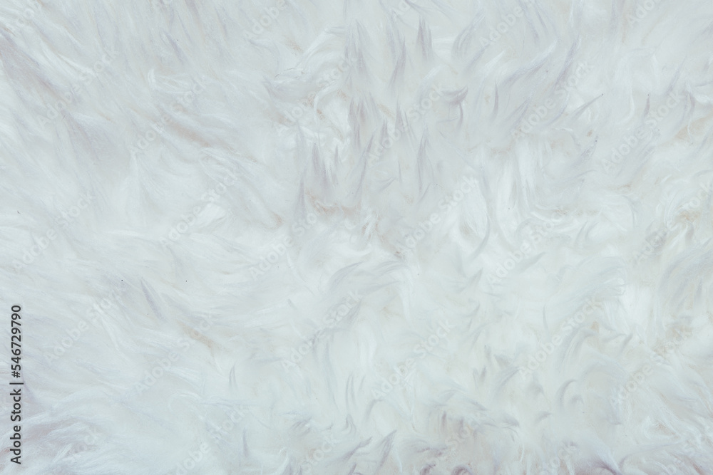 Close up of a white fur rug with texture Close up of a white fur rug with texture