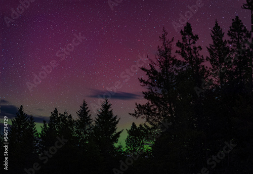 Northern Lights in Washington