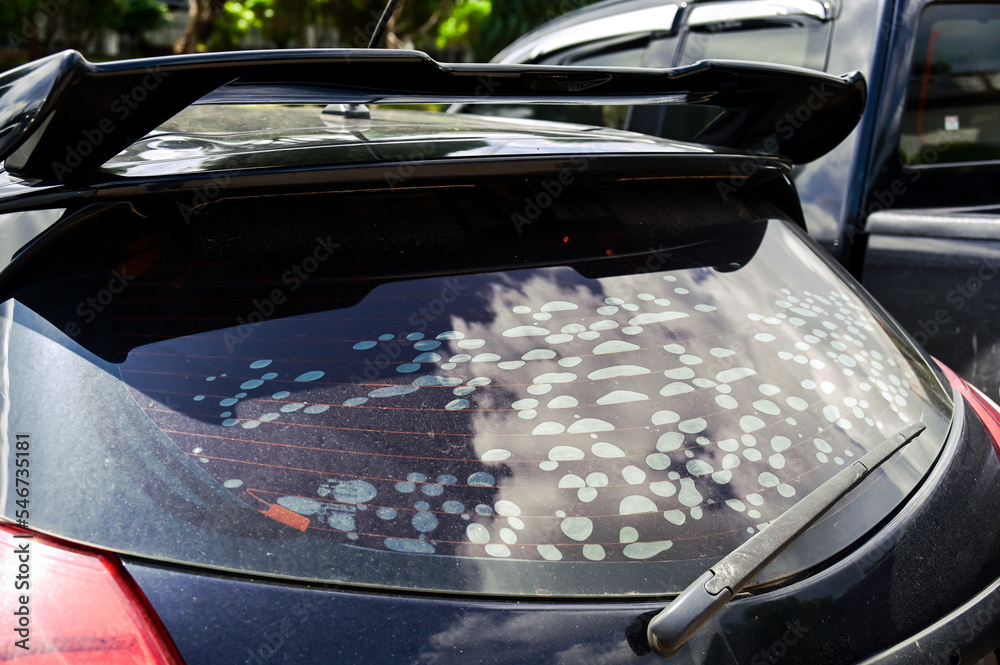 car window tint bubbles damage ripped repair ,adhesive holding the tint