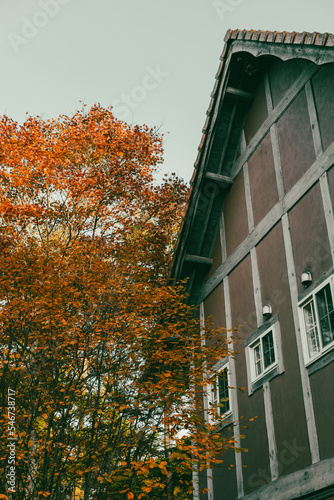 old house in autumn