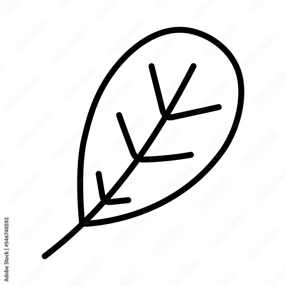 foliage