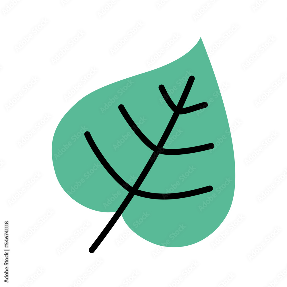 leaf leaf