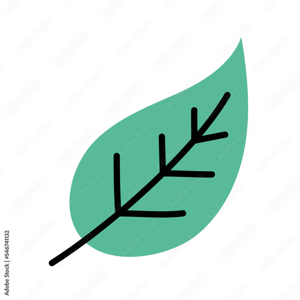 leaf