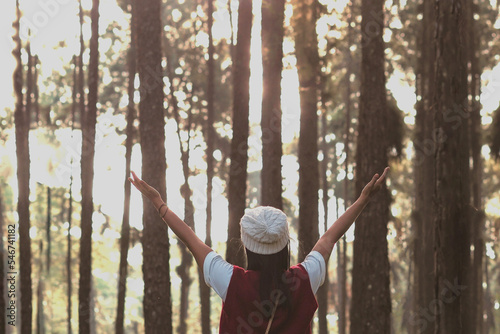 Wallpaper Mural Happy woman backpacker raise arms in the pine trees  forest. Torontodigital.ca