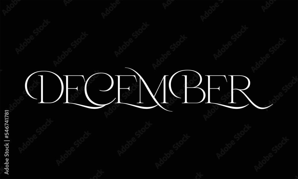 Fototapeta premium December Stylish Design Month name on black background vector illustration.