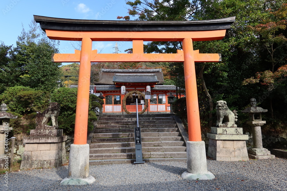 A Japanese shrine : a scene of the entrance torii to Hai-den Hall for prayer in the Uji-jinjya in Uji City in Kyoto Prefecture 日本の神社:京都府宇治市にある宇治神社の拝殿入り口の鳥居 A Japanese shrine : a scene of the entrance torii to Hai-den Hall for prayer in the Uji-jinjya in Uji City in Kyoto Prefecture 日本の神社:京都府宇治市にある宇治神社の拝殿入り口の鳥居