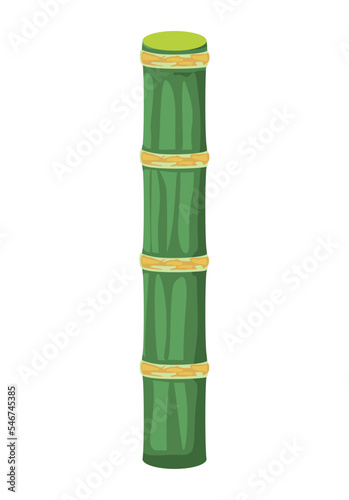 bamboo plant trunk